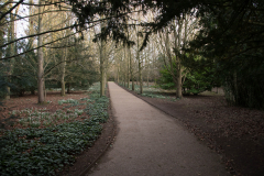 DSC1029