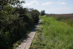 DSC7292