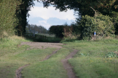 DSC7799