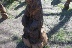 DSC1153