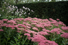 DSC7702